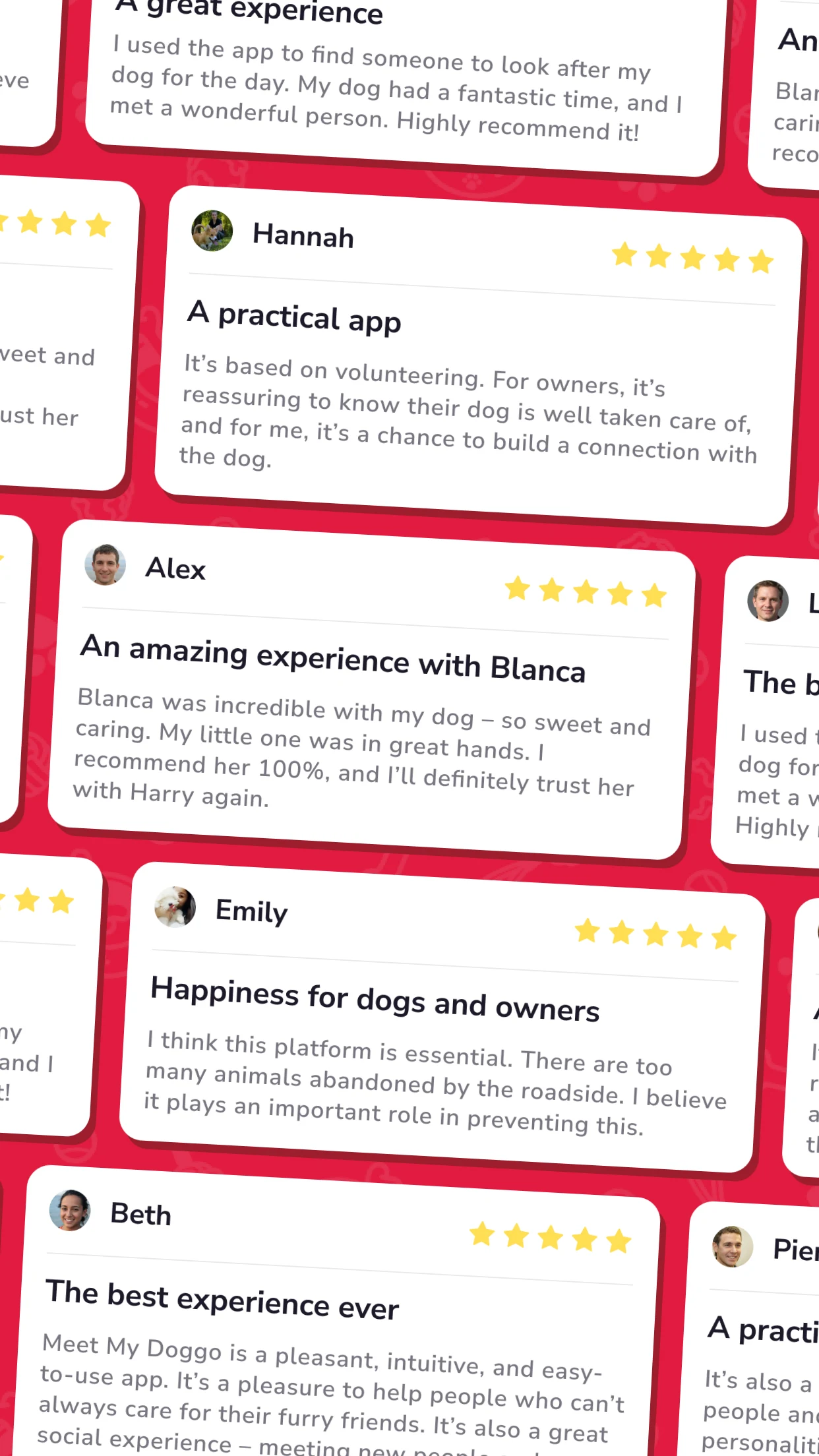 Meet My Doggo Screenshot6