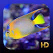 Peaceful Aquarium HD APK