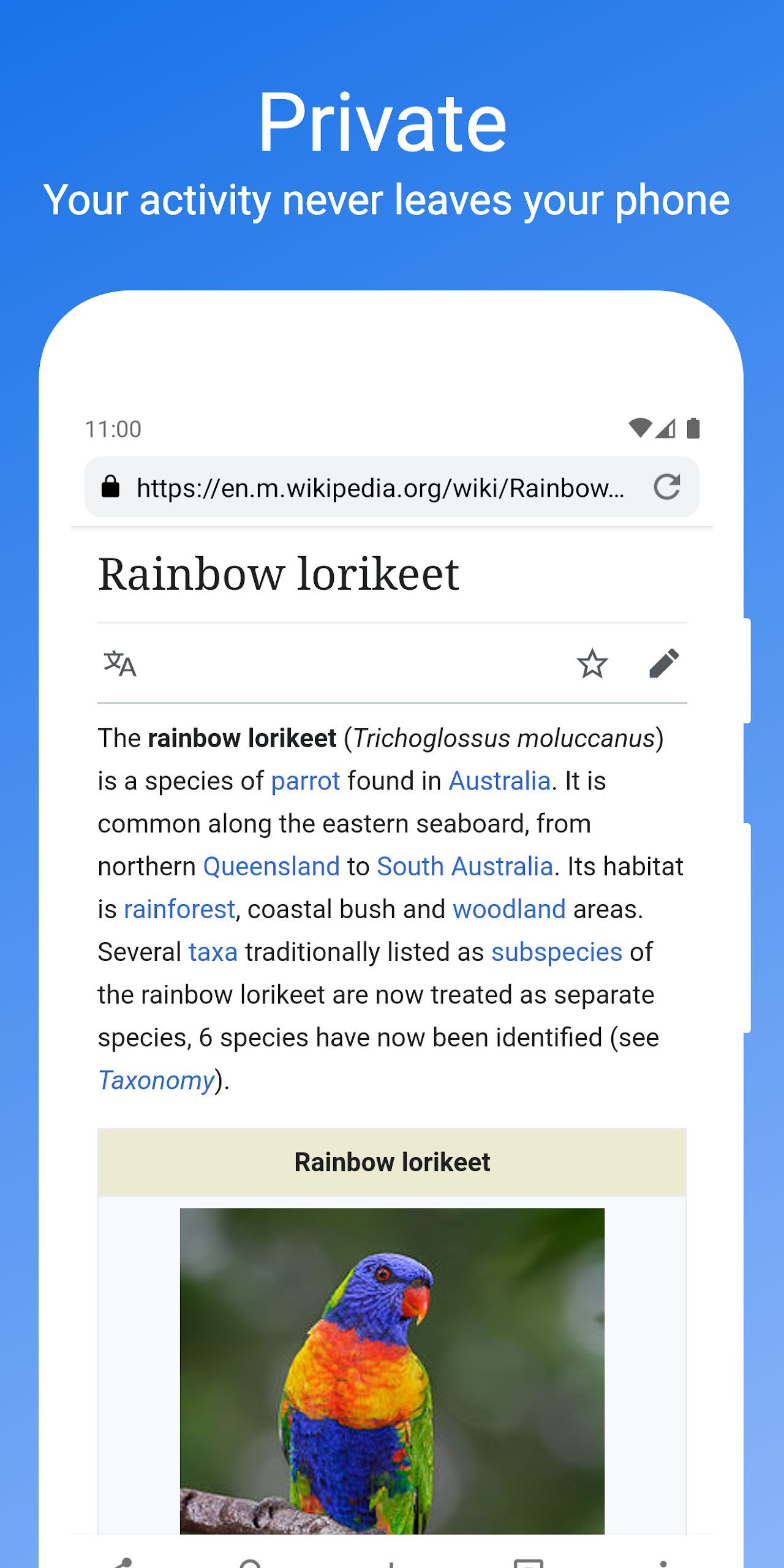 Pluma: private & fast browser Screenshot2