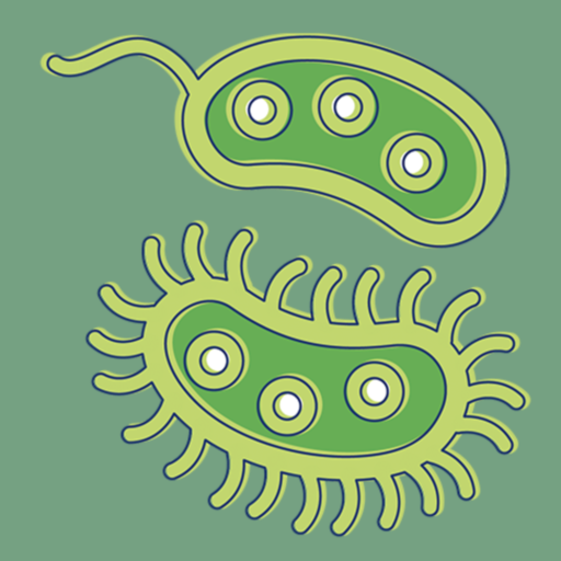 Bacteria: Types, Infections APK
