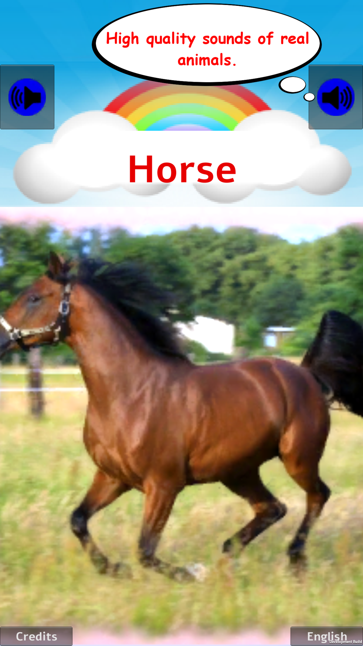 100 Animal sounds & pictures Screenshot14