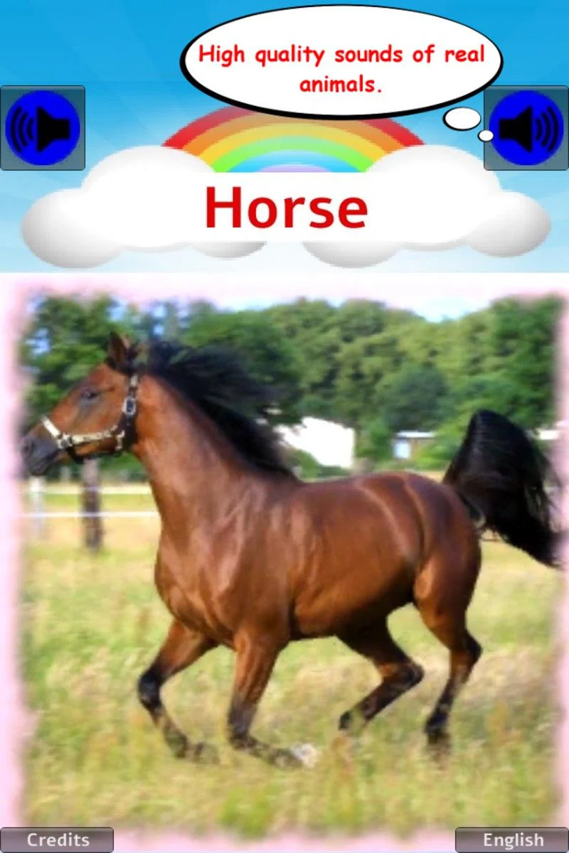 100 Animal sounds & pictures Screenshot9