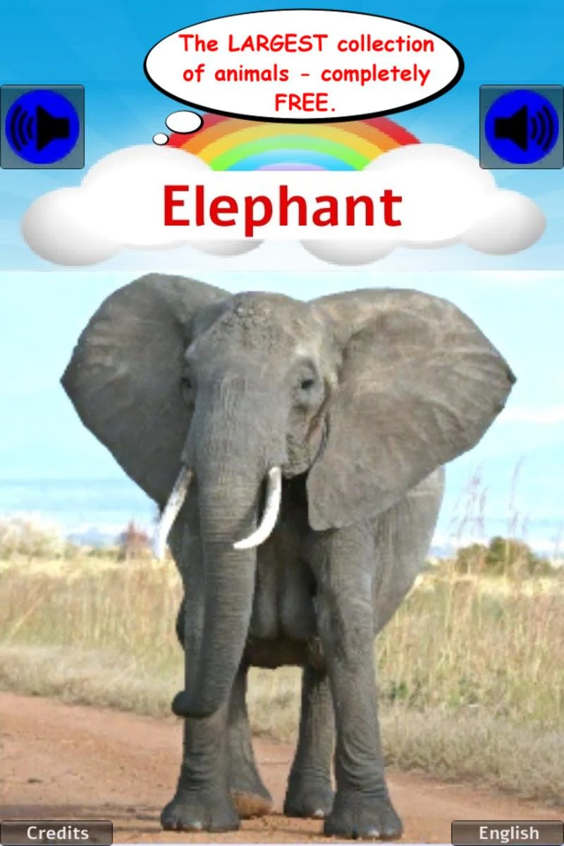 100 Animal sounds & pictures Screenshot8