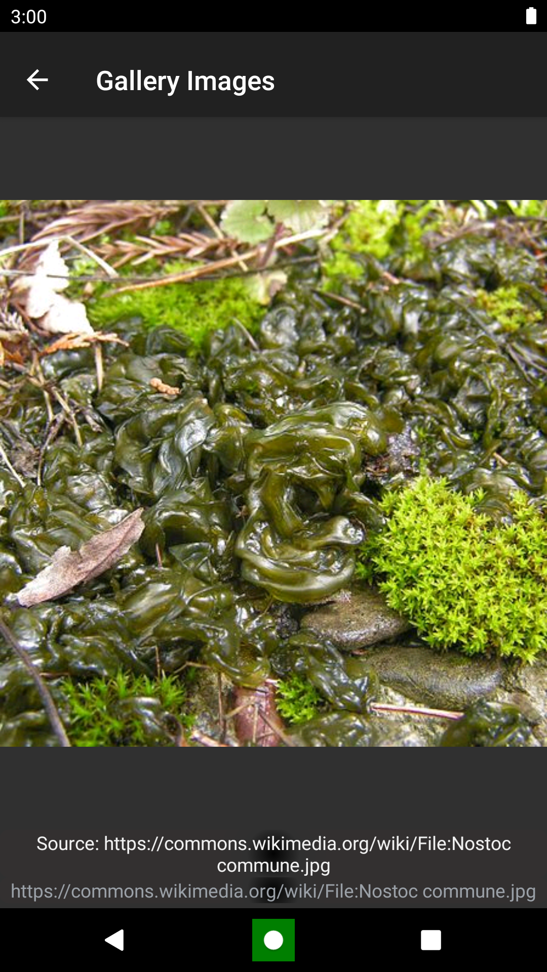 Bacteria: Types, Infections Screenshot3