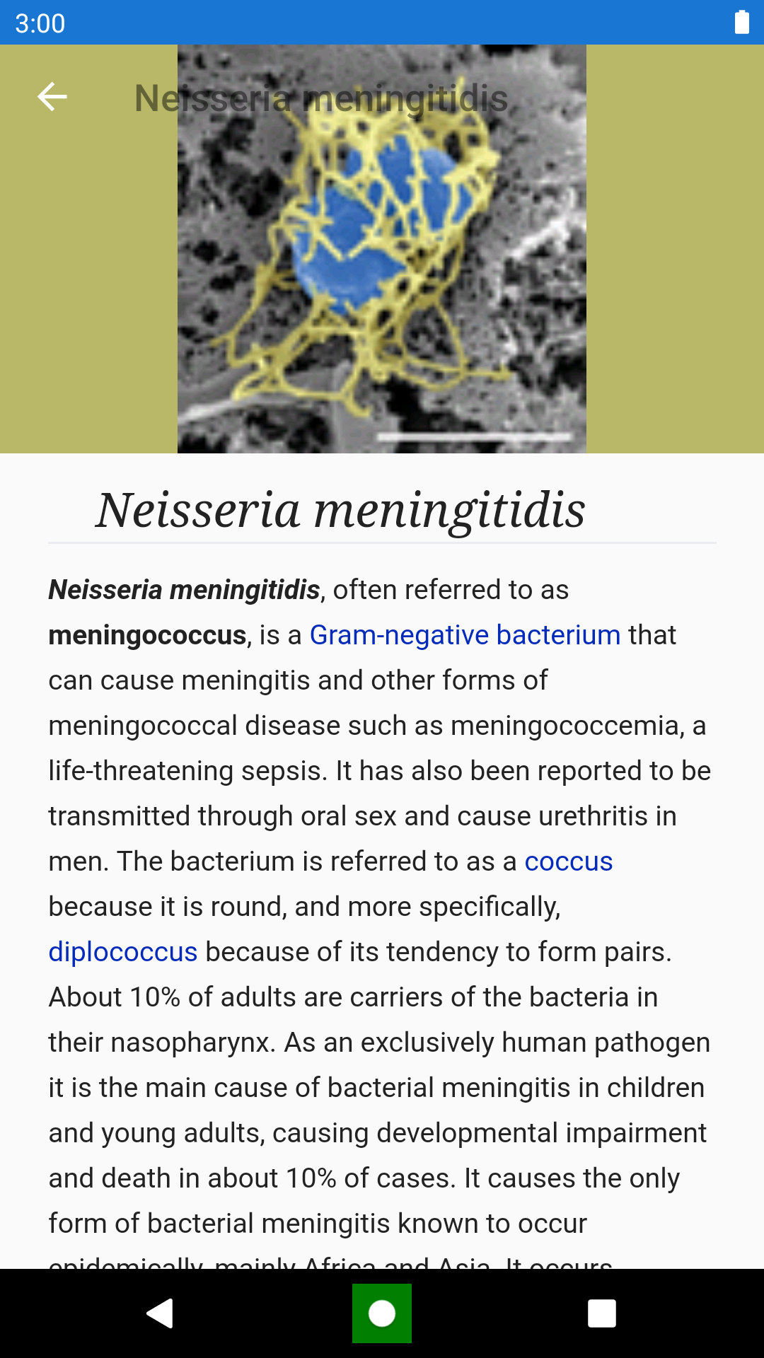 Bacteria: Types, Infections Screenshot6