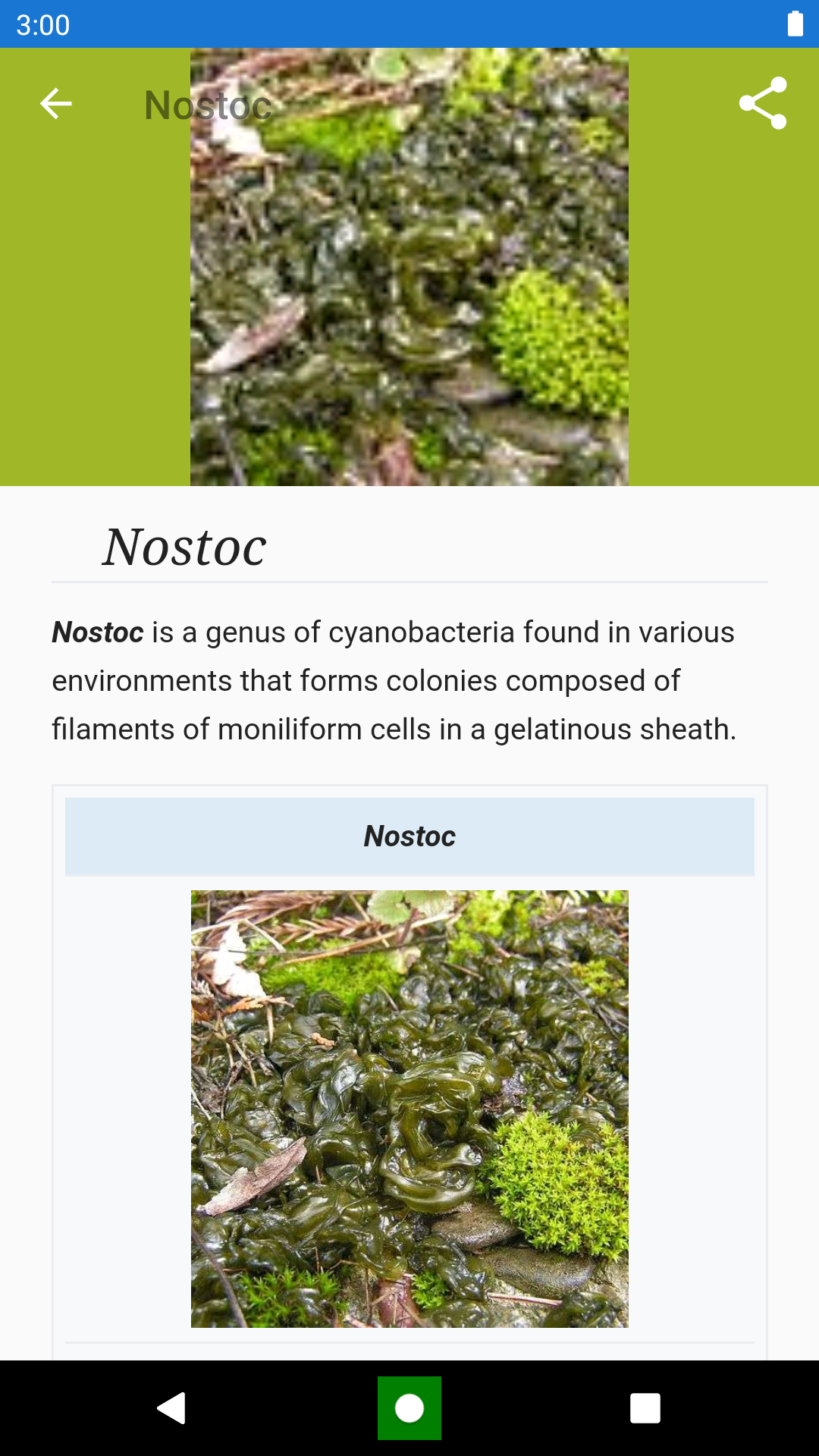 Bacteria: Types, Infections Screenshot7