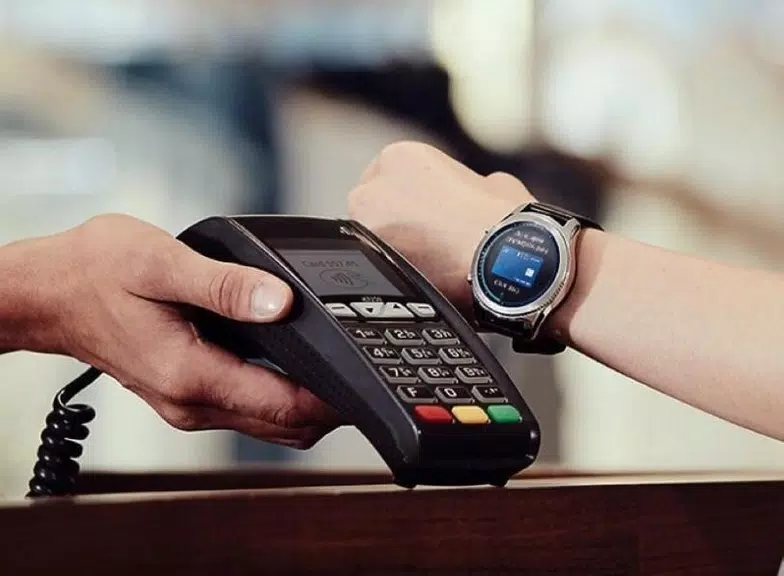 Samsung Wallet/Pay (Watch) Screenshot1