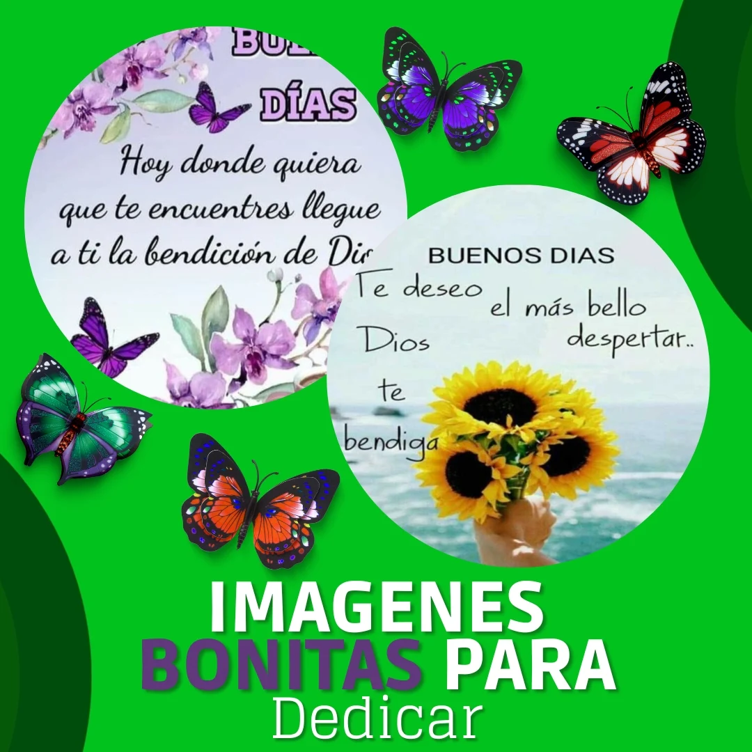 Reflexiones De La Vida Screenshot4