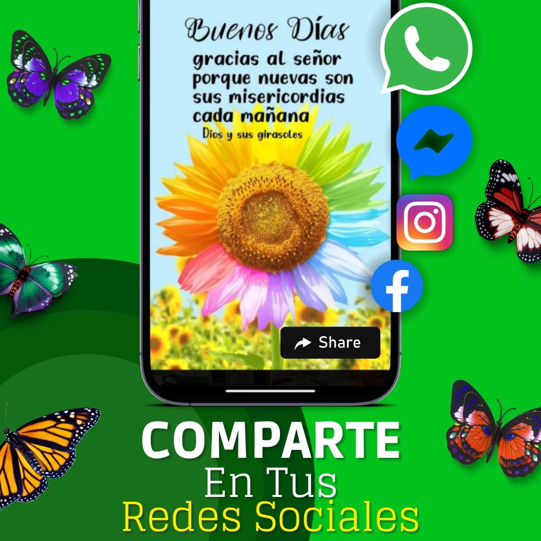 Reflexiones De La Vida Screenshot5