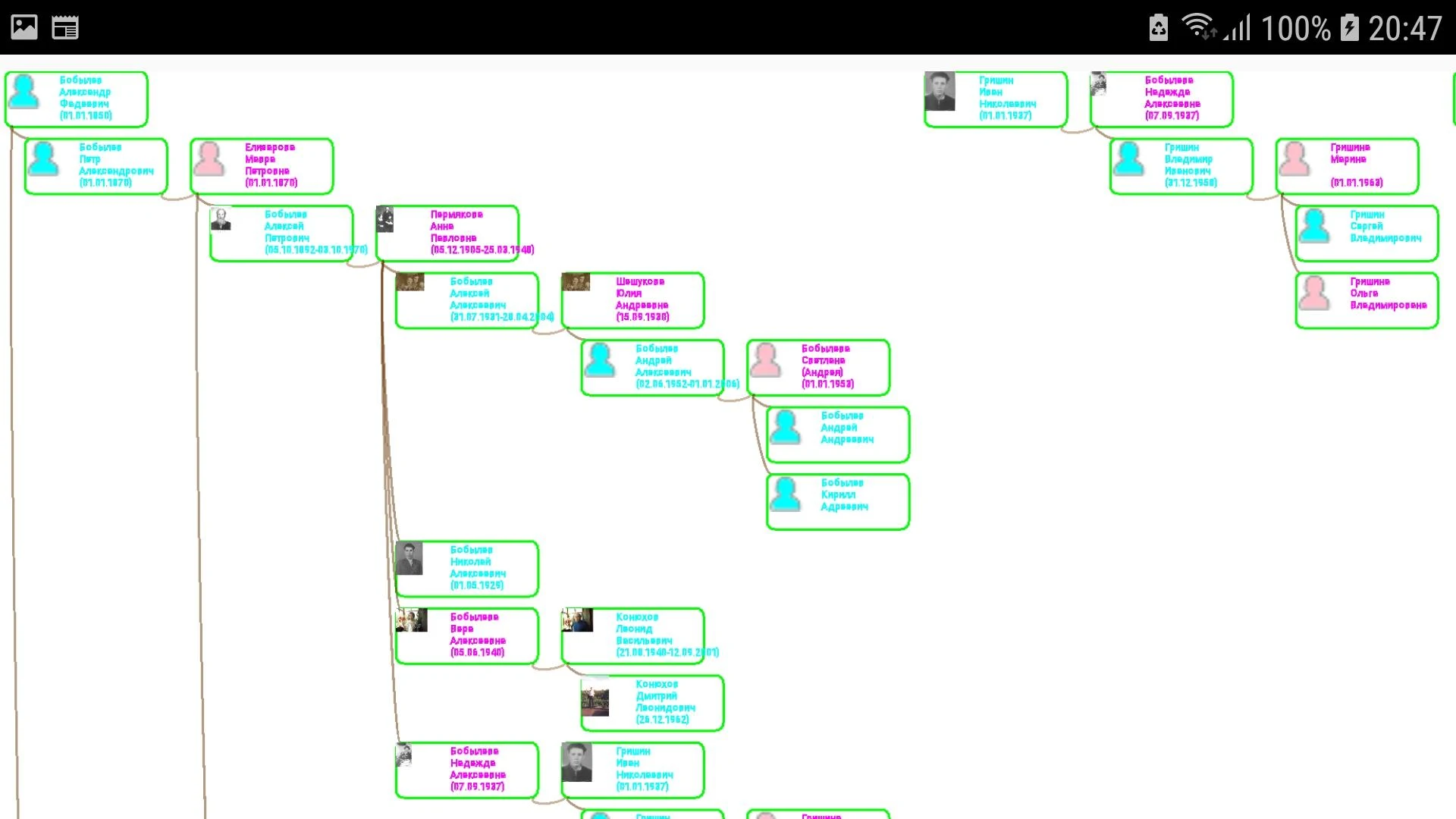 The Family Tree of Family Screenshot16