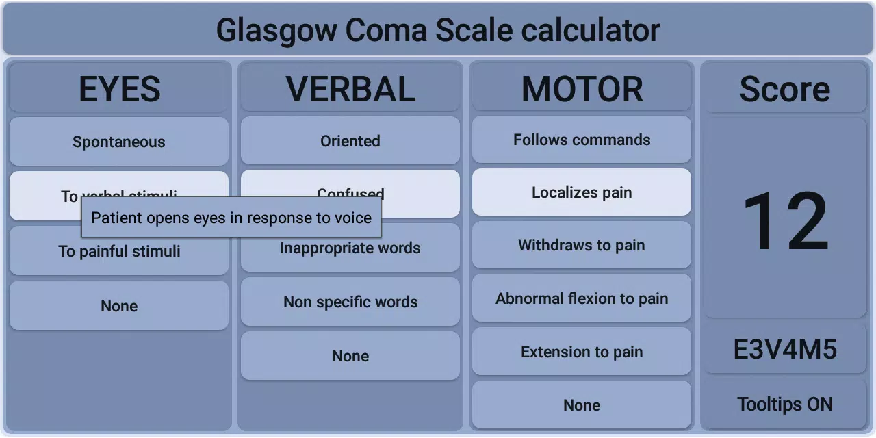 Glasgow Coma Scale Screenshot4