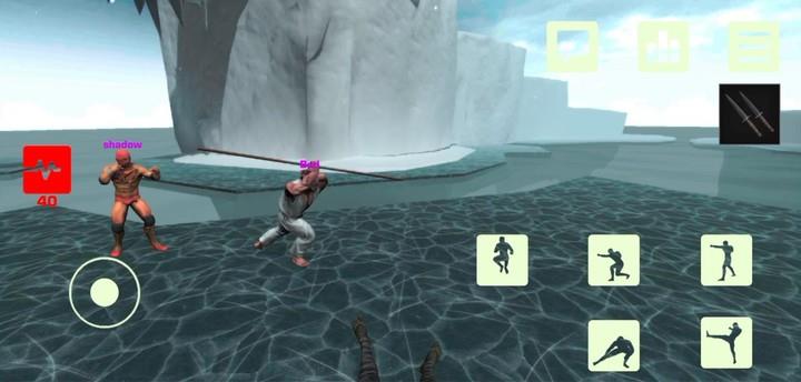 Fight Arena Online Screenshot4