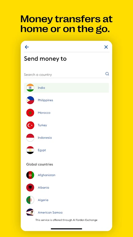 Western Union Screenshot2