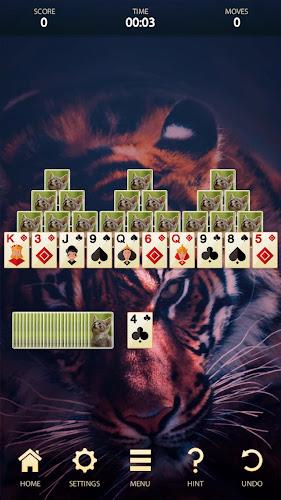 Classic Solitaire: Card Games Screenshot9