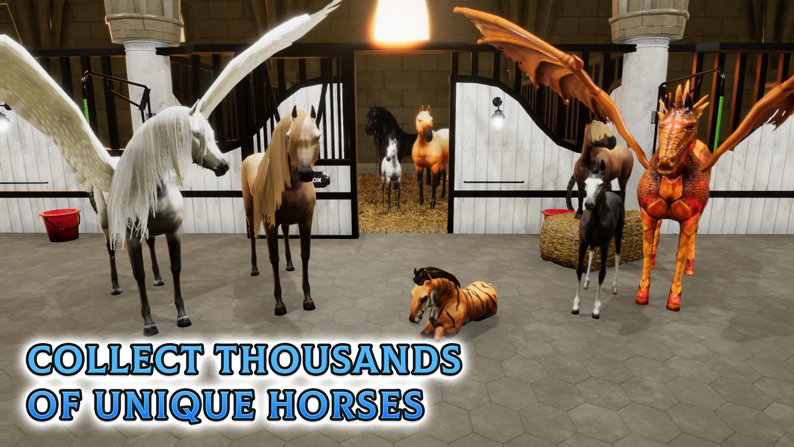 Horse Academy Screenshot5