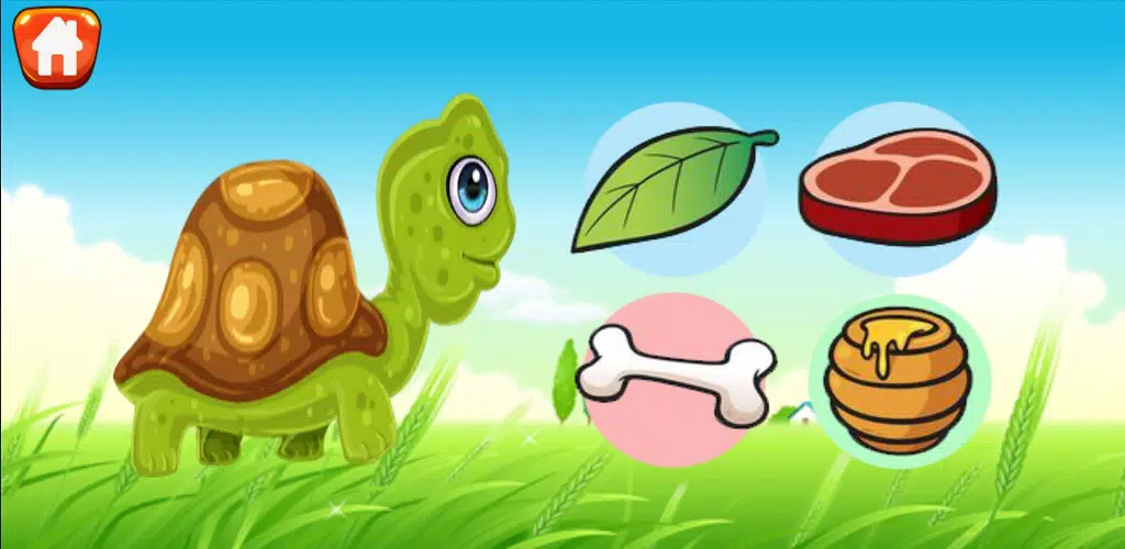 Learn and Play Animal Screenshot5