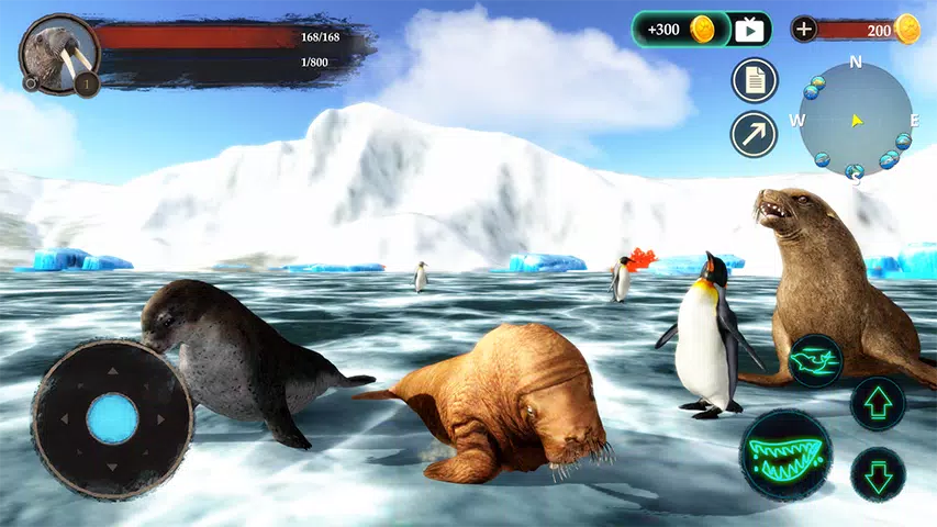 The Walrus Screenshot5