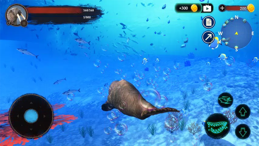 The Walrus Screenshot1