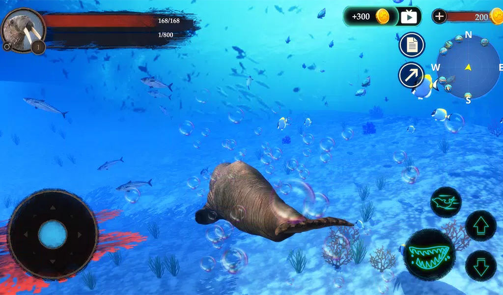 The Walrus Screenshot8