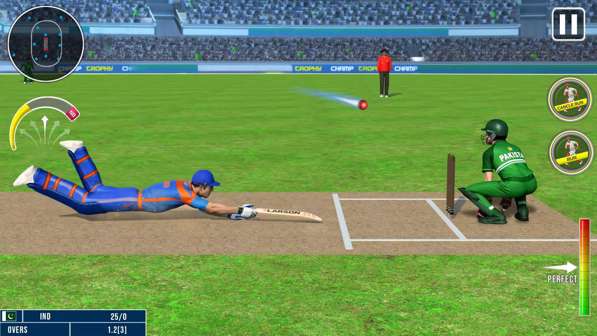 World Champion 3D Cricket Game Screenshot3