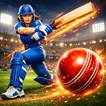 Ultimate Womens Cricket League APK