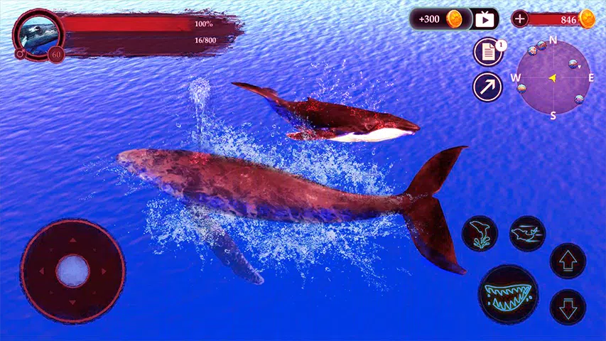 The Humpback Whales Screenshot6
