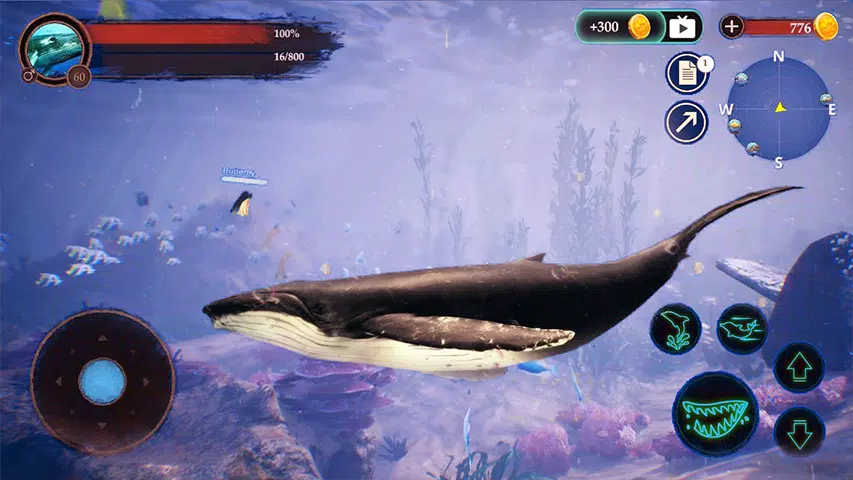 The Humpback Whales Screenshot5