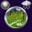 Spring Weather & Clock Widget Apk