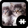 Cats & Kitten Puzzle APK