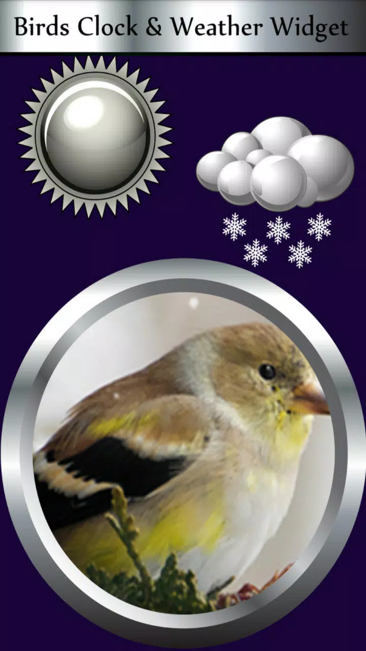 Birds Clock & Weather Widget Screenshot1