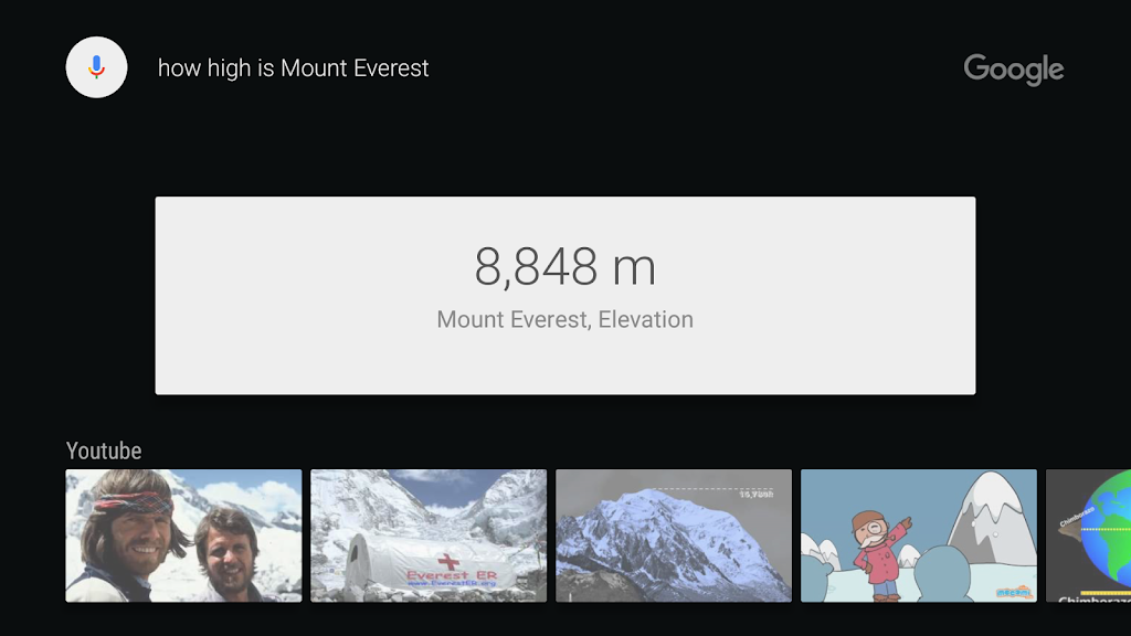 Google app for Android TV Screenshot3