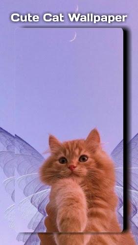 Cute Cat Wallpaper Screenshot8