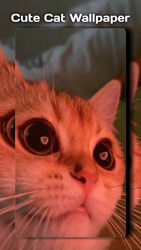 Cute Cat Wallpaper Screenshot7