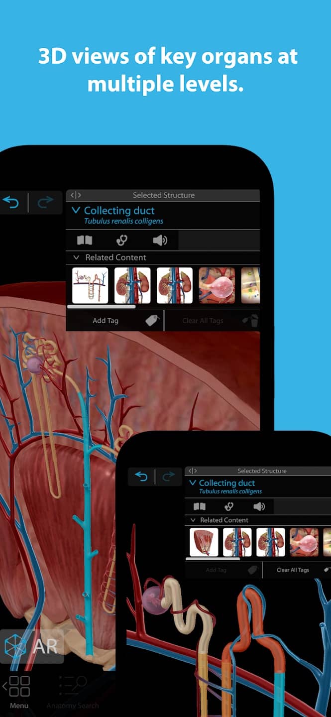 Human Anatomy Atlas 2024 Screenshot2