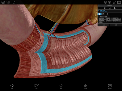 Physiology & Pathology Screenshot13
