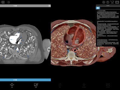 Physiology & Pathology Screenshot15