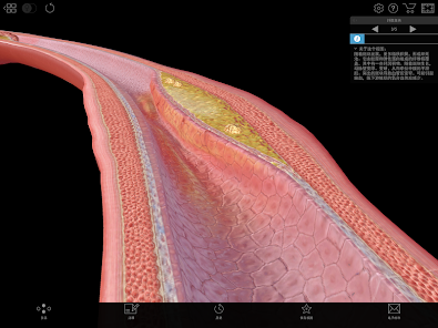 Physiology & Pathology Screenshot18