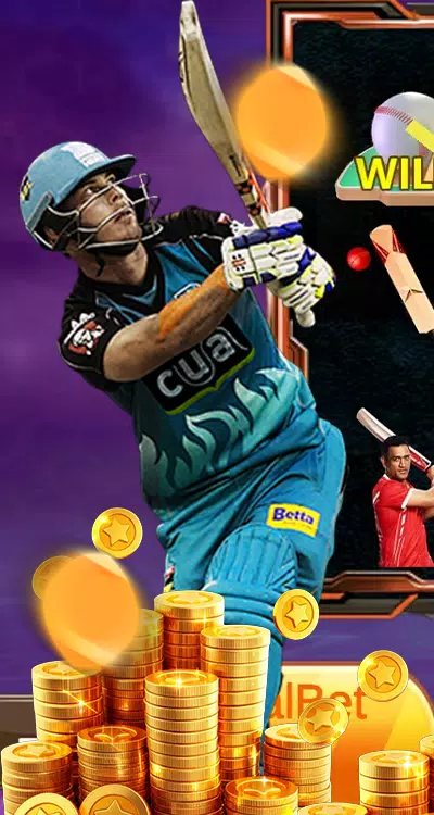 Cricket Victory Cup Screenshot1