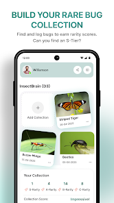 InsectBrain: Bug Identifier Screenshot4