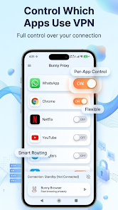 Bunny Proxy: Fast VPN, Browser Screenshot7