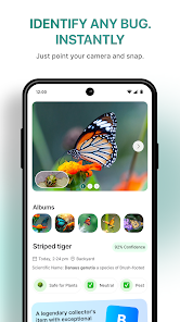 InsectBrain: Bug Identifier Screenshot1