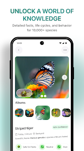 InsectBrain: Bug Identifier Screenshot5