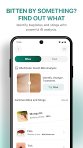 InsectBrain: Bug Identifier Screenshot3