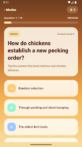 Chicken Quiz Screenshot4