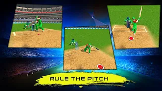 Real World Cricket Tournament Screenshot3