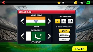 Real World Cricket Tournament Screenshot9