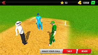 Real World Cricket Tournament Screenshot6