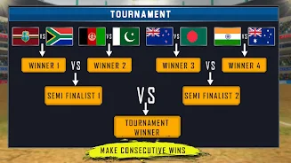 Real World Cricket Tournament Screenshot1