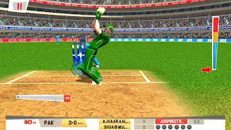 Real World Cricket Tournament Screenshot8