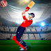 Real World Cricket Tournament Apk